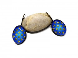 Bronze lever back Earrings, France coat of arms heraldry jewel