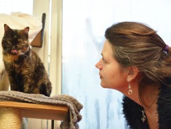 Un pendentif qui célèbre l'indépendance du chat sous l'influence lunaire : un symbole pour celles qui suivent leur instinct.