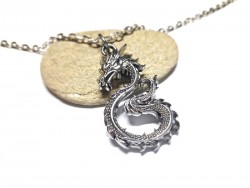 Pendentif Grand Dragon oriental en acier inoxydable argenté sur collier grosse chaîne, bijou asiatique pour homme